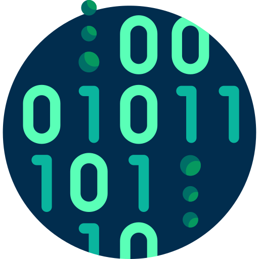 the image with the coding